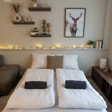 Cozy - Near Downtown - Parking Appartamento